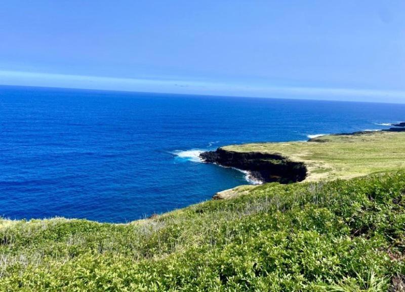 Charming 1 Bedroom Beach Condo Prime Location Great Value Pahala Buitenkant foto