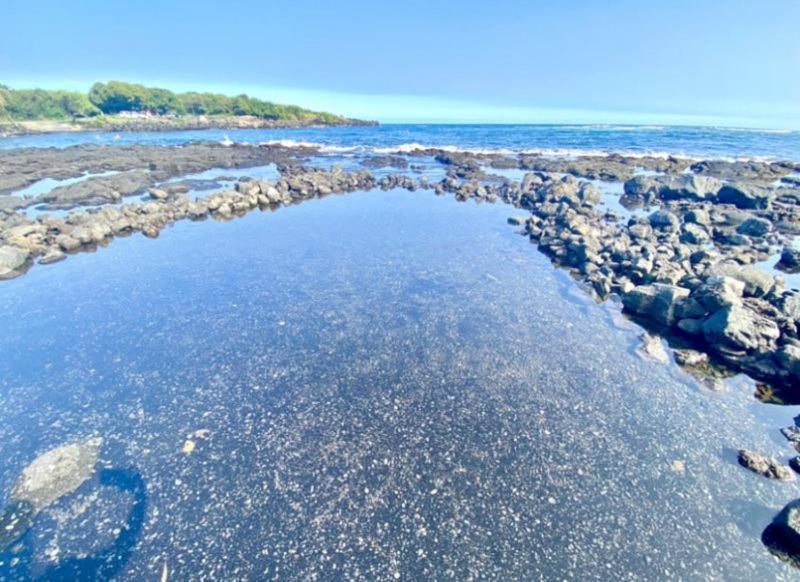 Charming 1 Bedroom Beach Condo Prime Location Great Value Pahala Buitenkant foto
