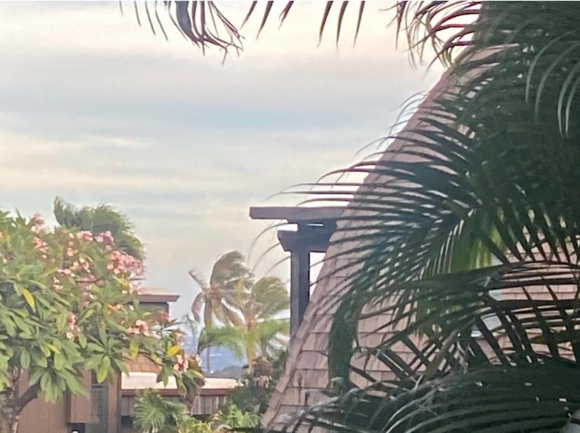 Charming 1 Bedroom Beach Condo Prime Location Great Value Pahala Buitenkant foto