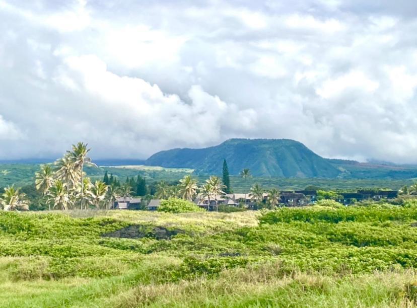Charming 1 Bedroom Beach Condo Prime Location Great Value Pahala Buitenkant foto